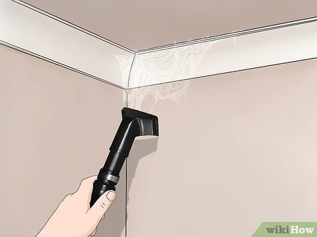 Cara Membersihkan Sarang Laba-Laba Di Langit-Langit Rumah